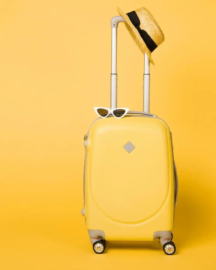 What Weighs 10kg? 11 Common things that Weigh 10Kg (10kilos to lbs) 11 10kg suitcase