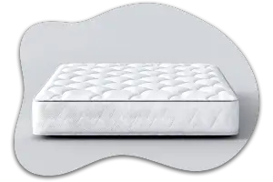 What Weighs 300 Pounds? From Baby Elephants to Mattresses 11 Household Mattress