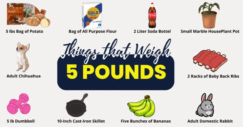 What Weighs 5 Pounds? 9 Everyday Objects that Weigh 5 lbs 1 things that weigh 5 pounds
