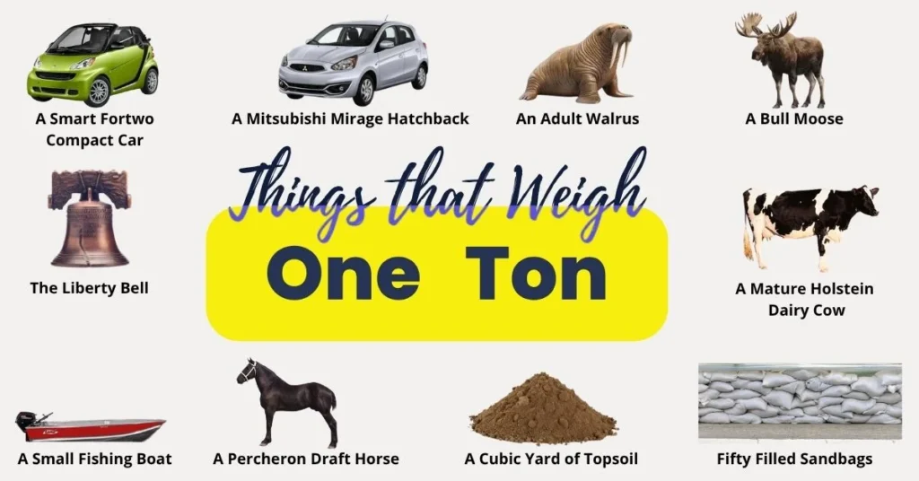 What Weighs 1 Ton? 11 Common Things That Weigh 1 Ton 2 what weigh 1 ton